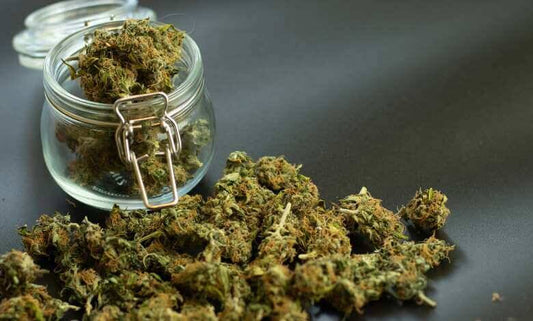 Exploring THC-A: Benefits, Uses, and Cultivation.